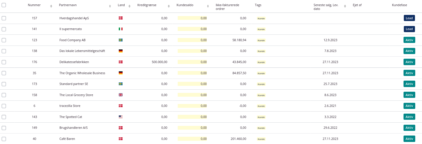 Eksempel på CRM oversigt